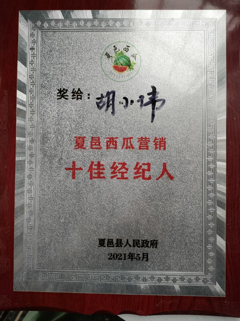 【无籽麒麟】美都大棚西瓜河南产地直发品质好全国发货可视频