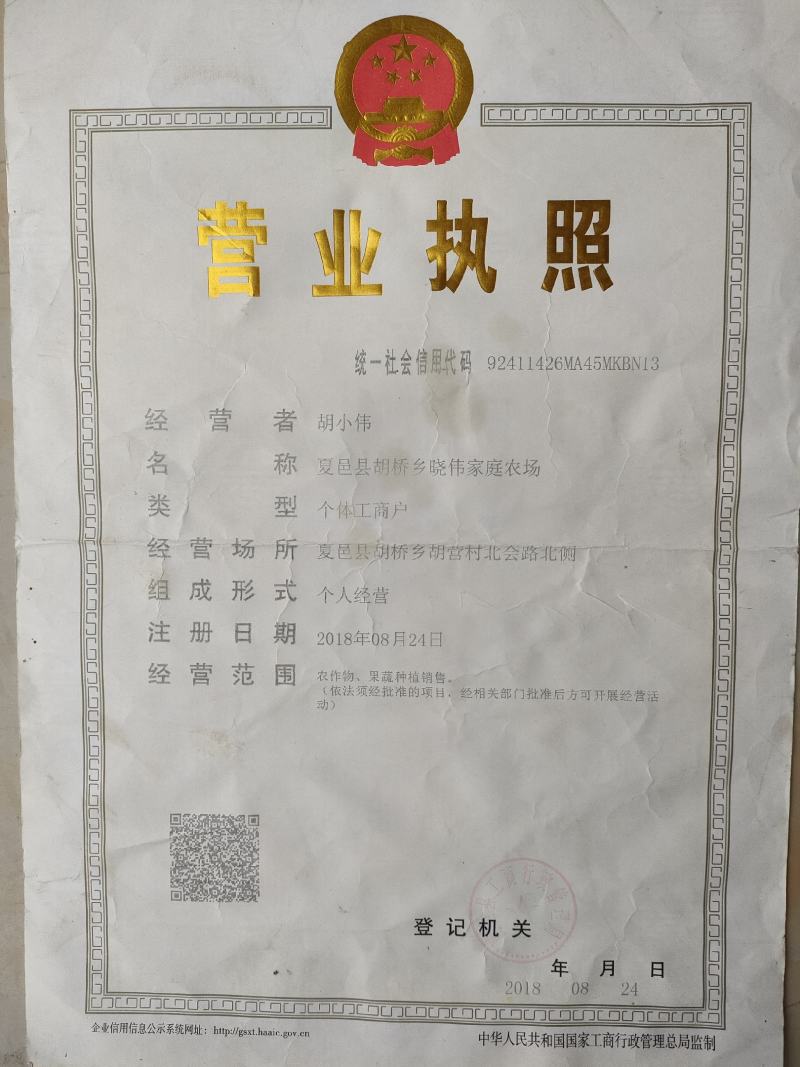 【精品】711大棚西瓜产地直发品质好全国发货量大从优