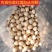 新鲜红莲，手工红莲，现剥莲子米，全国可发