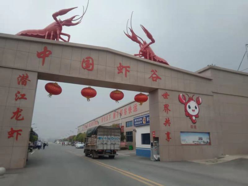 包邮潜江小龙虾，淡水养殖，现捕现发，货源充足，承接电商