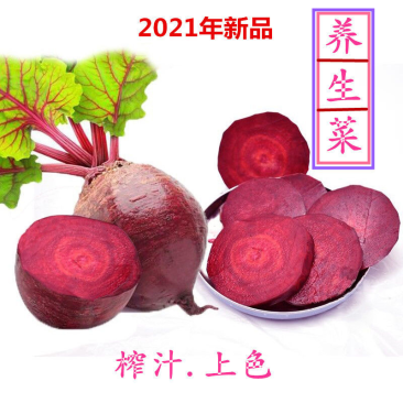【包邮-20斤甜菜根】热销10斤20斤新鲜农家甜菜根