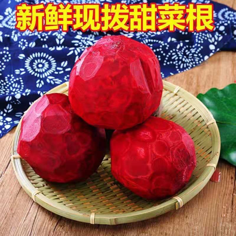 【包邮-20斤甜菜根】热销10斤20斤新鲜农家甜菜根
