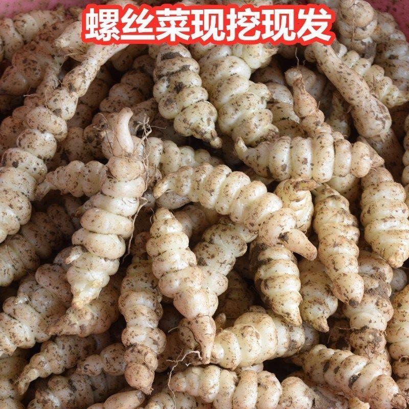【包邮-20斤螺丝菜】热销10斤20斤新鲜农家宝塔菜