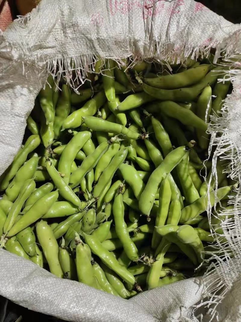 蚕豆。大理各种蔬菜水果代办。（长期代办）