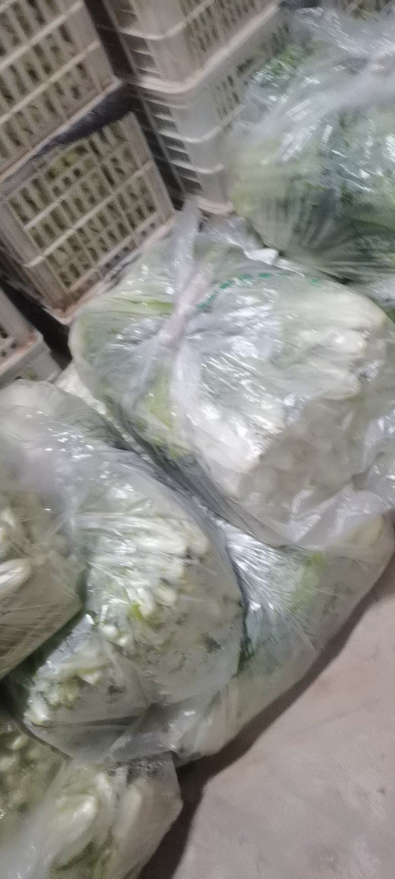 快菜