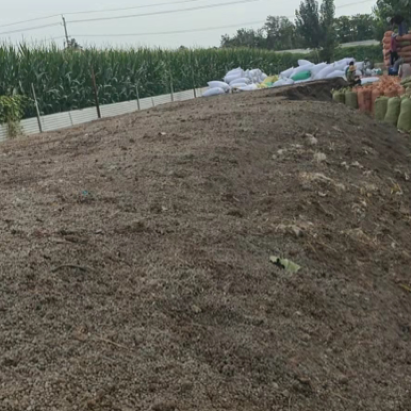 【推荐】羊粪优质羊粪保质保量货源充足量大从优