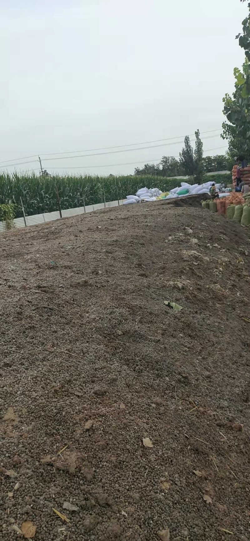 【推荐】羊粪优质羊粪保质保量货源充足量大从优