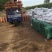 【热卖】牛粪发酵牛粪有机肥料货量充足基地直销