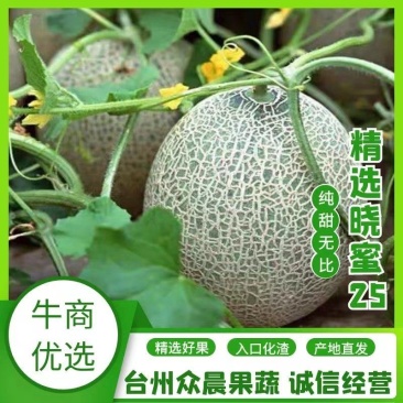 晓蜜25西州蜜甜瓜，口感甜度好可承接电商微商一件代发