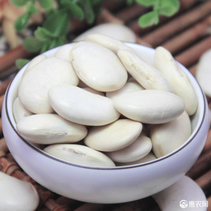 【包邮-5斤白芸豆】热销5斤10斤新鲜农家优质白芸豆