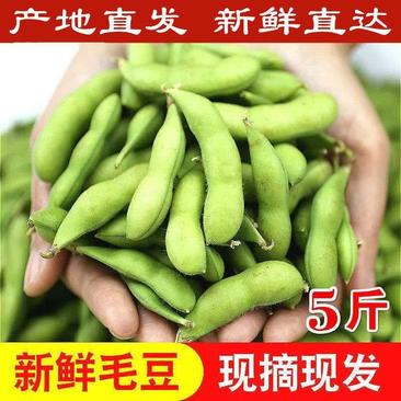 【包邮-5斤毛豆】热销5斤10斤新鲜农家优质毛豆