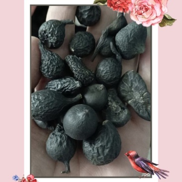 云南乌灵参干货鸡枞蛋雷震子鸡茯苓吊金钟乌苓参中药有大