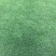 细叶结缕草