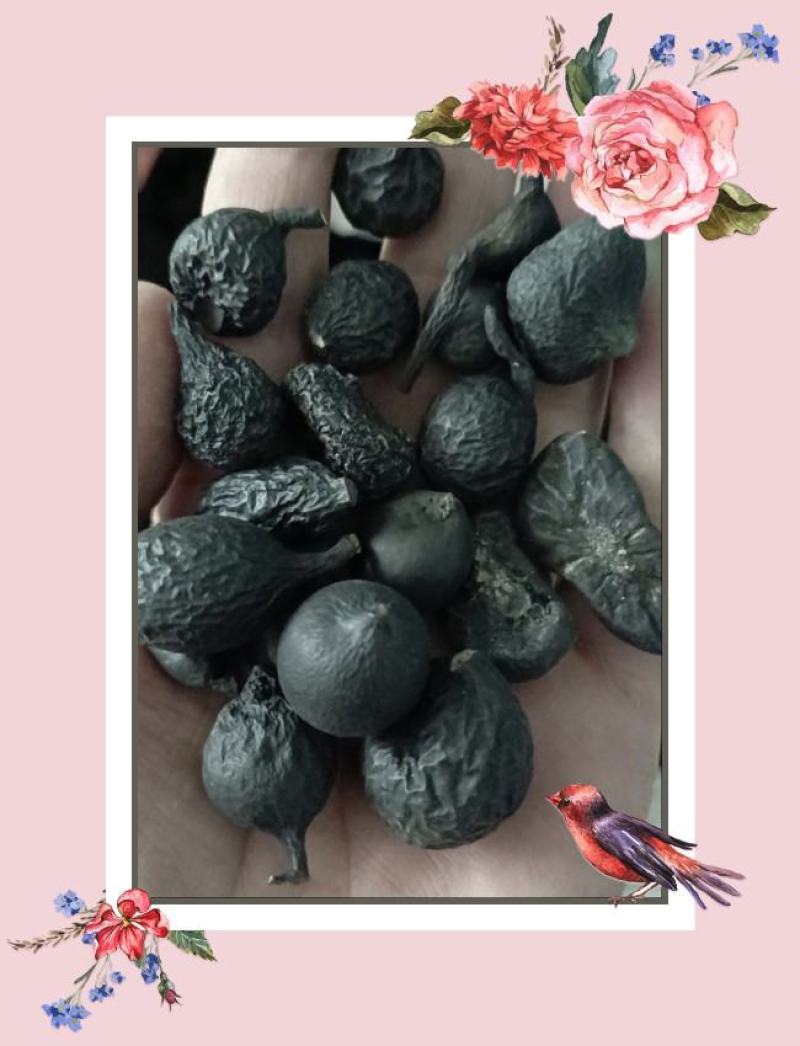 云南乌灵参干货鸡枞蛋雷震子鸡茯苓吊金钟乌苓参中药有大
