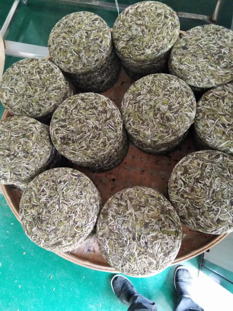 头春牡丹王香气足高山茶叶自产自销品质保证品种齐全