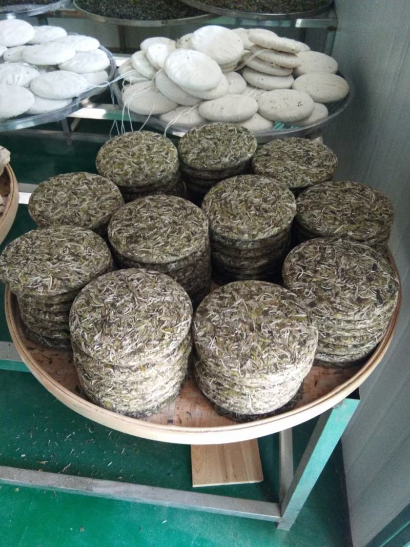 头春牡丹王香气足高山茶叶自产自销品质保证品种齐全