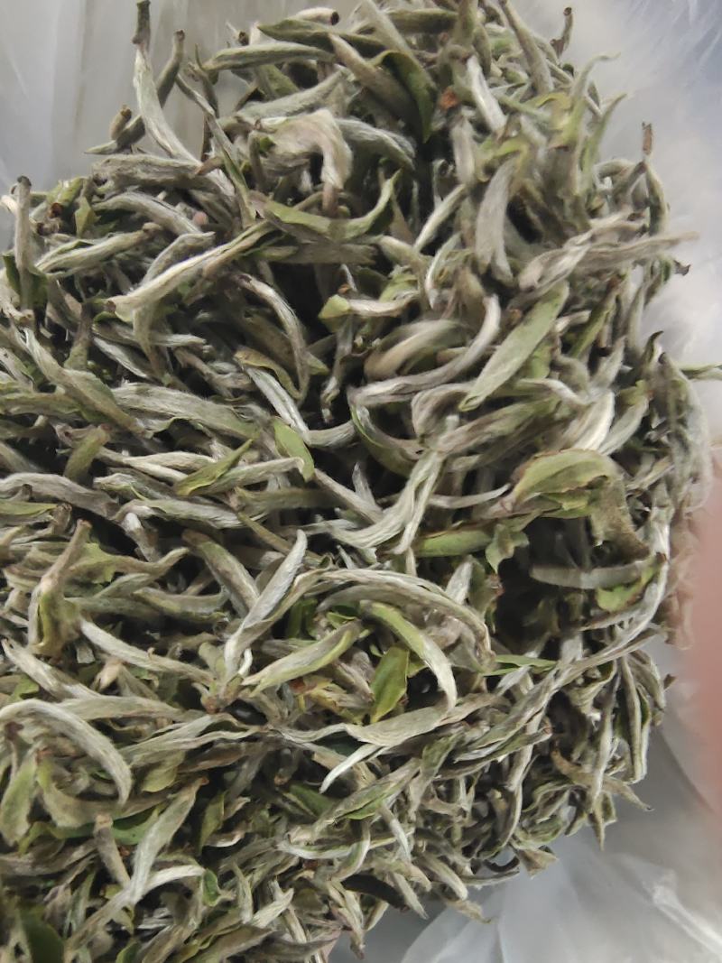 头春牡丹王香气足高山茶叶自产自销品质保证品种齐全
