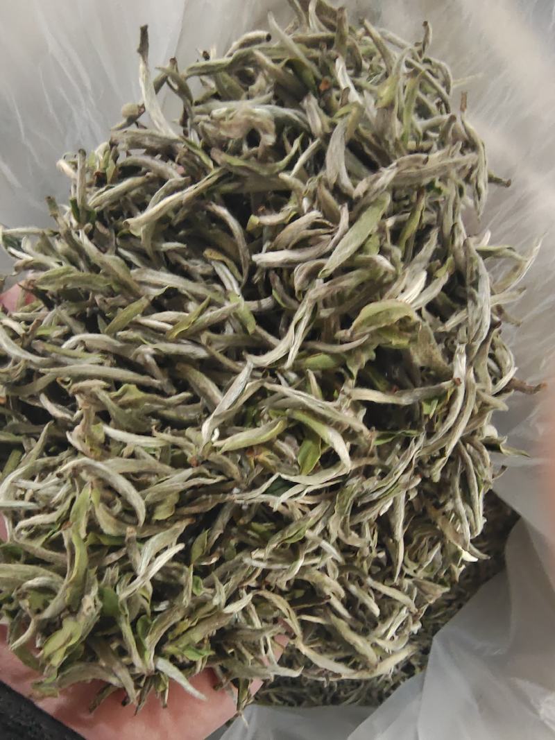 头春牡丹王香气足高山茶叶自产自销品质保证品种齐全