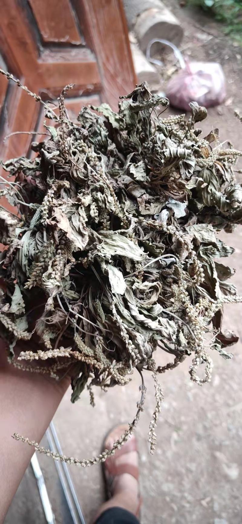 车前草产地直销，价格合适