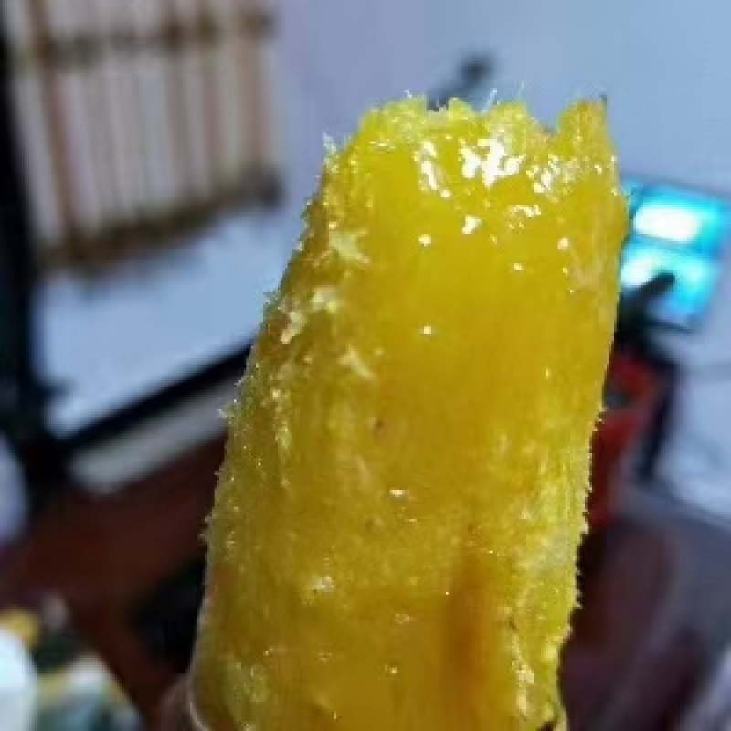 红薯苗