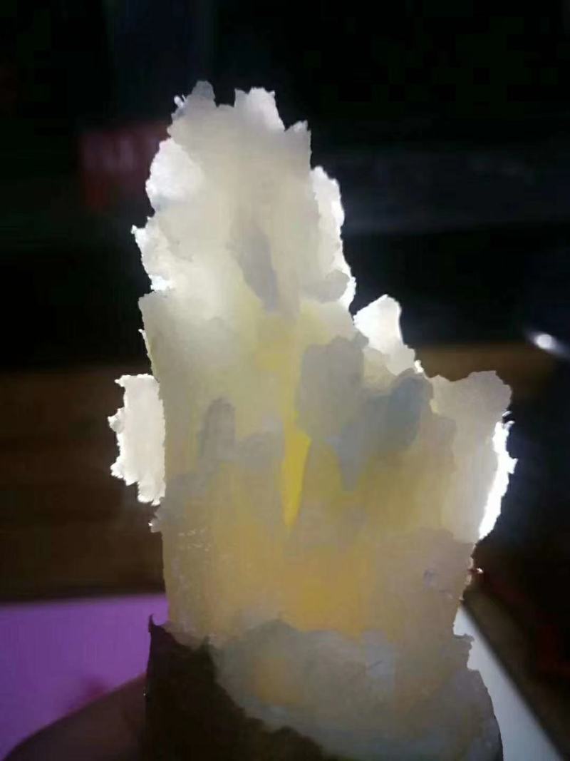 红薯苗