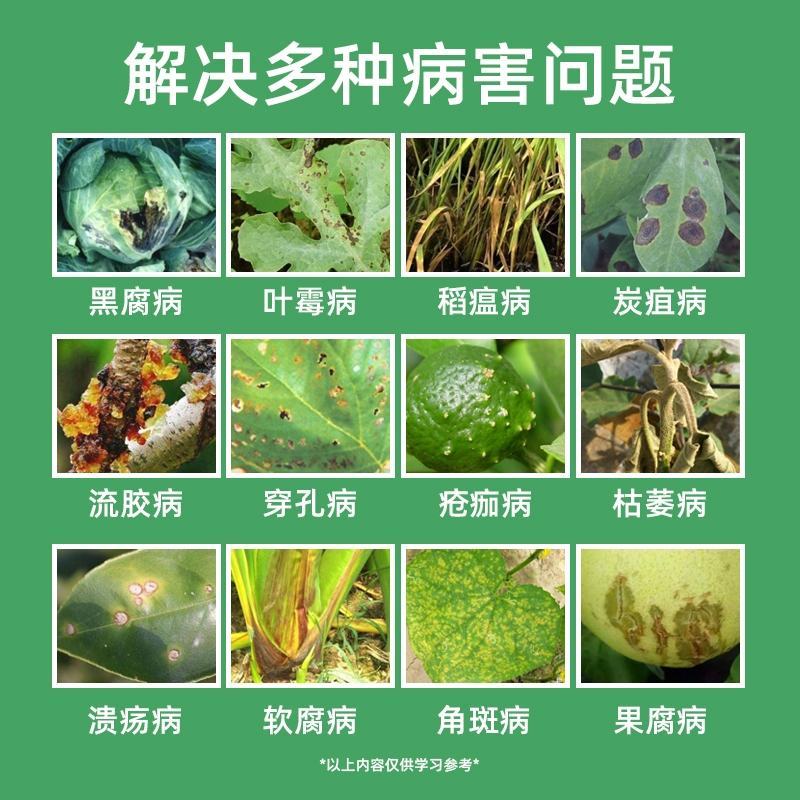 6%春雷霉素果树蔬菜叶斑病角斑稻瘟病流胶病软腐杀菌剂农药