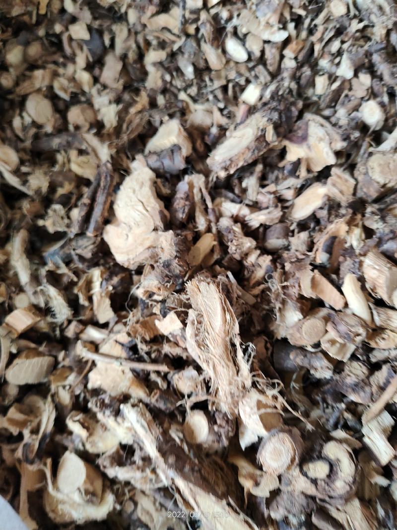 大山中草药材金雀根金雀儿根白心皮阳雀花根板参