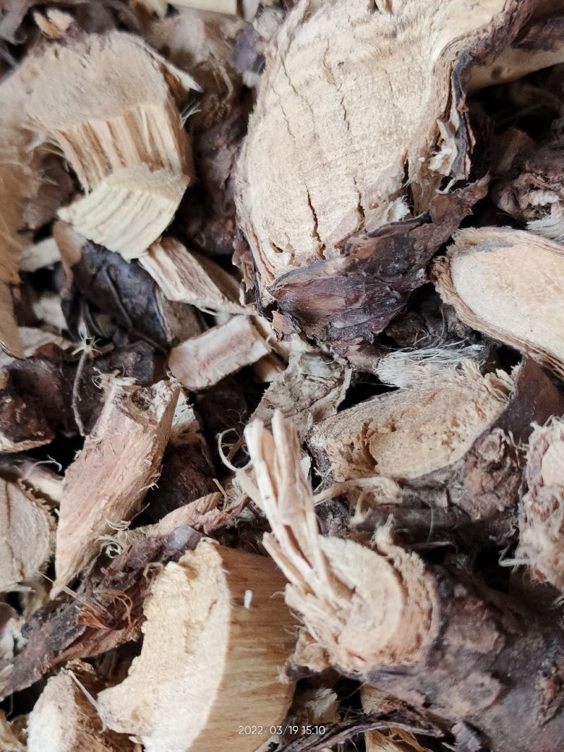 大山中草药材金雀根金雀儿根白心皮阳雀花根板参