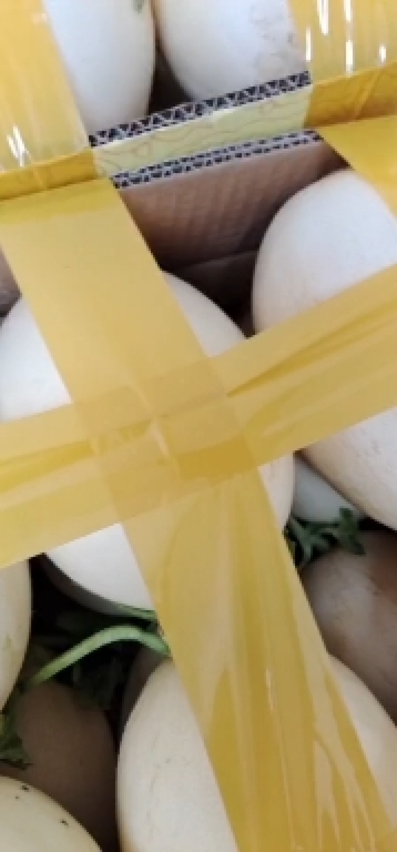 四季银红甜瓜东方蜜甜瓜，脆甜可口白皮红肉
