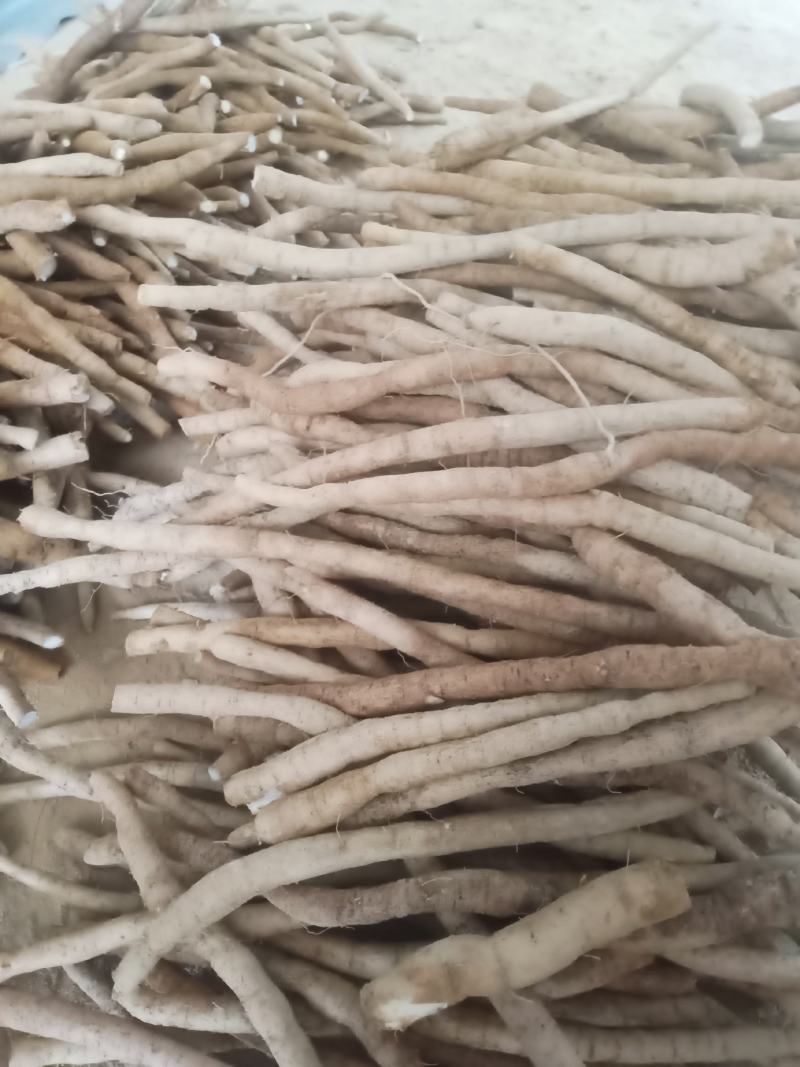 牛大力新鲜货看中的朋友下单了