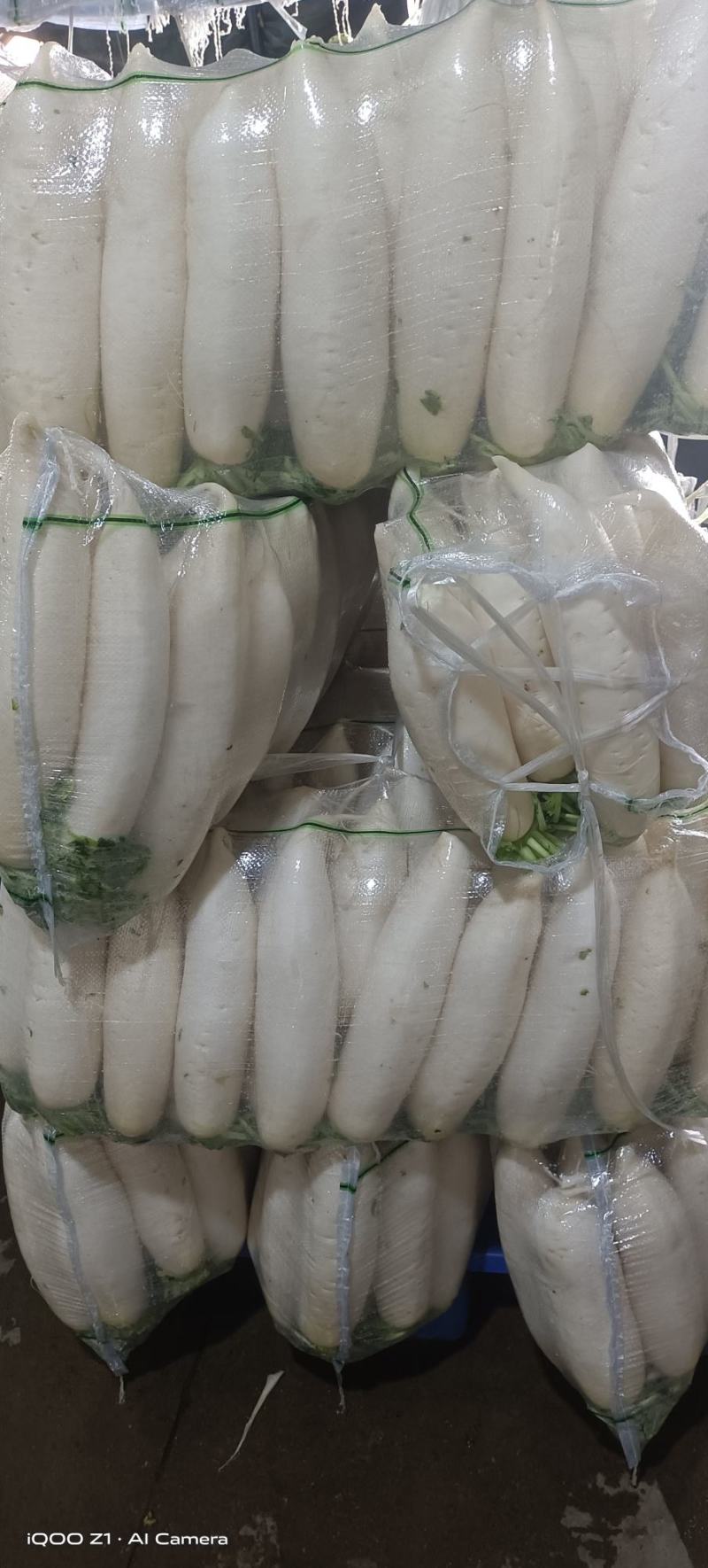 推荐湖北白萝卜冬萝卜大量白萝卜薄利多销质量好量欢迎来电