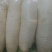 推荐湖北白萝卜冬萝卜大量白萝卜薄利多销质量好量欢迎来电