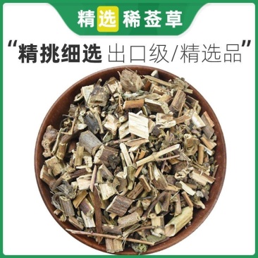 洋洋药业豨莶草豨签草稀签草豨莶草非玥中药