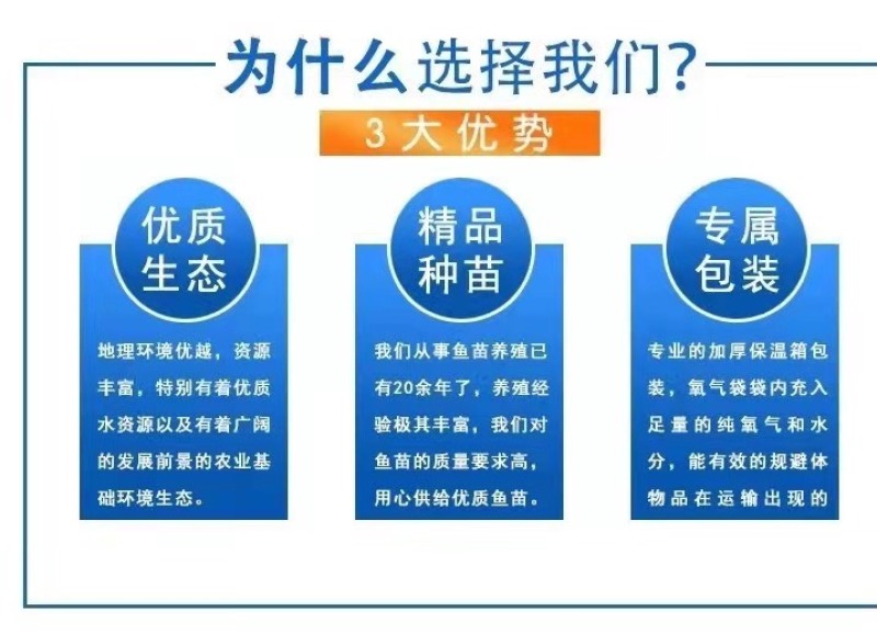黄骨鱼苗黄颡鱼黄辣丁黄鸭叫全雄黄骨鱼杂交黃骨鱼
