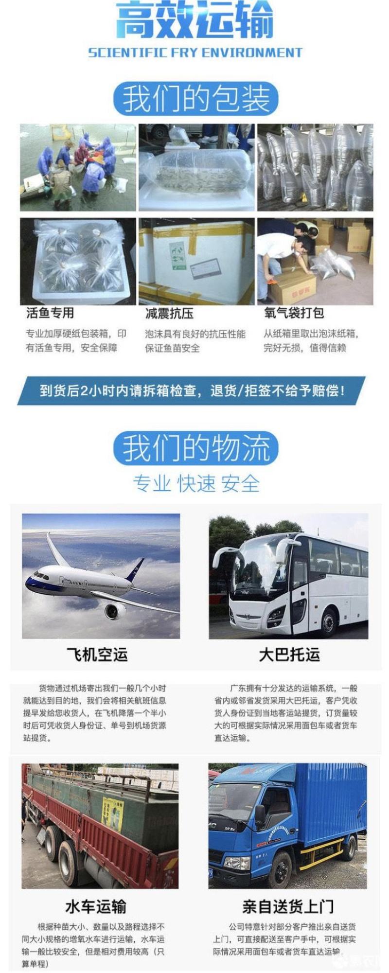 黄骨鱼苗黄颡鱼黄辣丁黄鸭叫全雄黄骨鱼杂交黃骨鱼