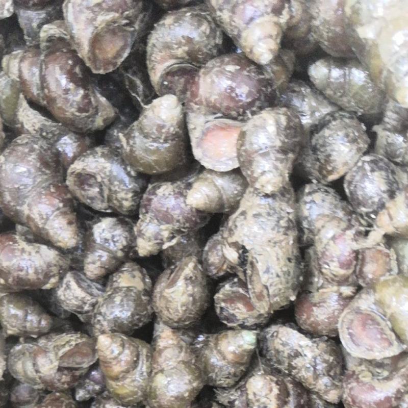 螺丝，饲料螺规格齐全零售批发价格美丽、量大从优。