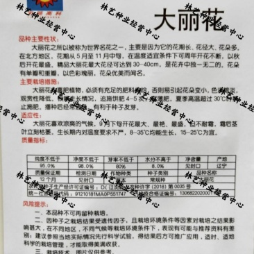 大丽花种子重瓣大丽菊种子四季花卉籽易种易活花期长阳台庭院