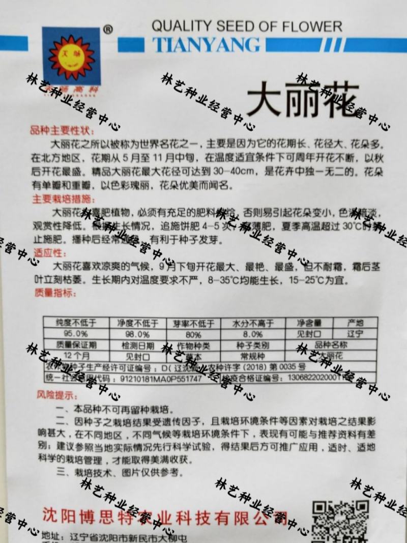 大丽花种子重瓣大丽菊种子四季花卉籽易种易活花期长阳台庭院