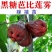 优质黑金刚，大叶红，黑糖芭比莲雾苗，基地直批，放心苗
