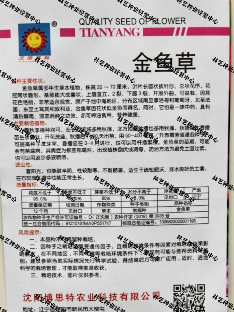 金鱼草种子多年生室内阳台庭院盆栽花卉种子花籽易种