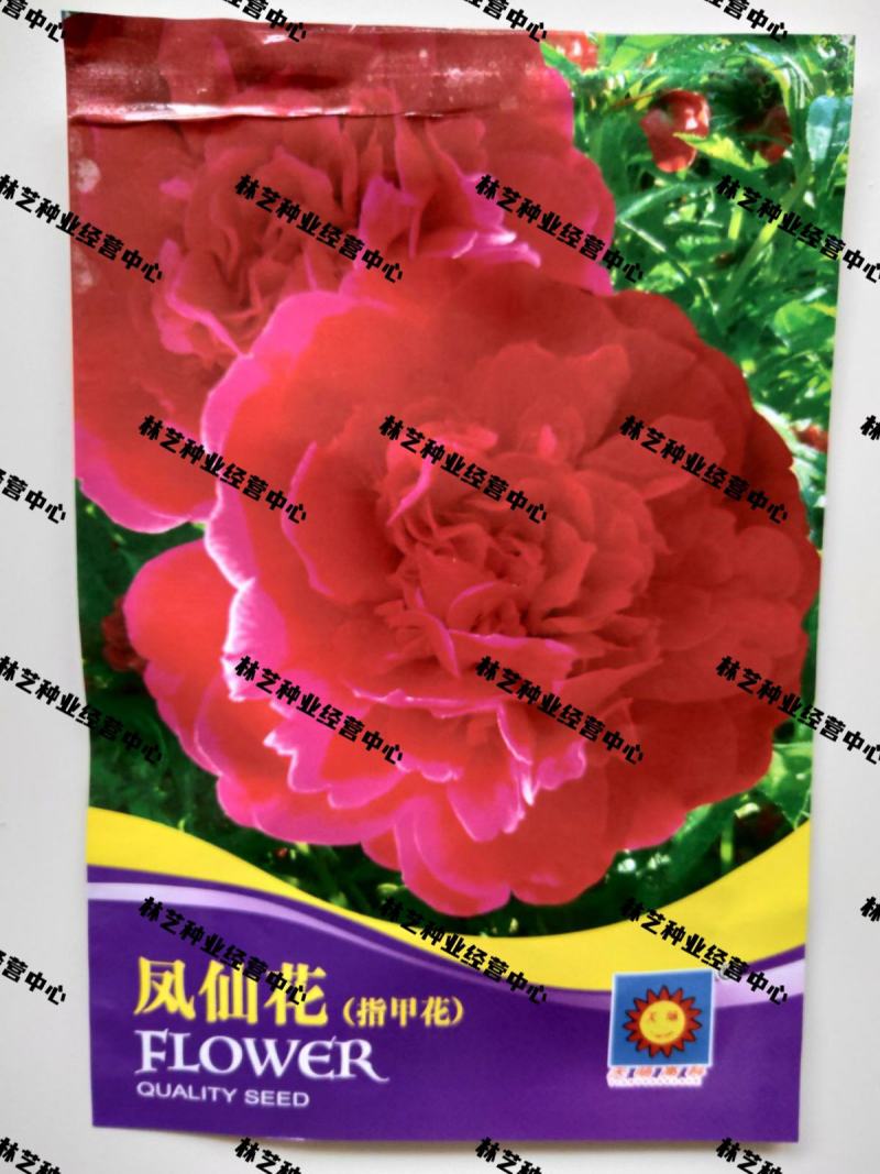 凤仙花种子指甲花种子花色多样露地阳台庭院盆栽多年生四季