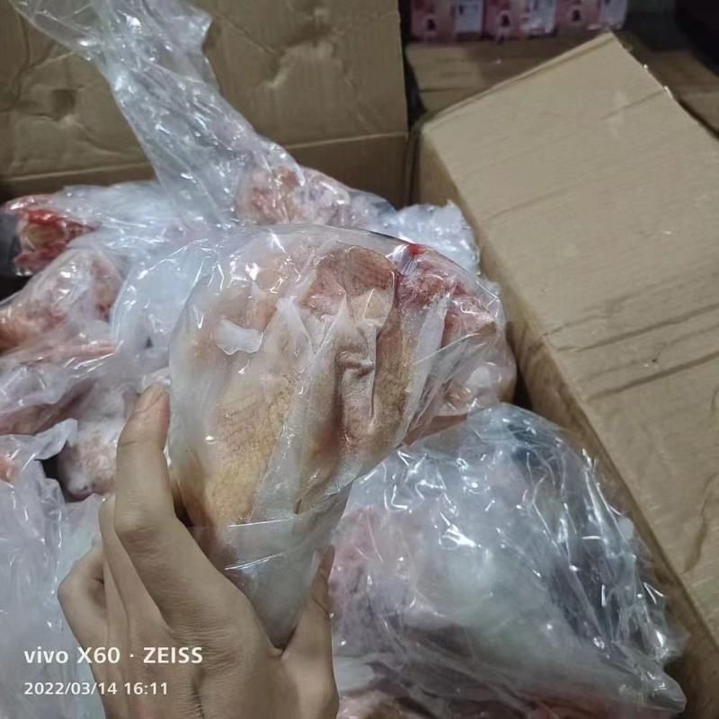2月的冻品乳鸽，全净膛