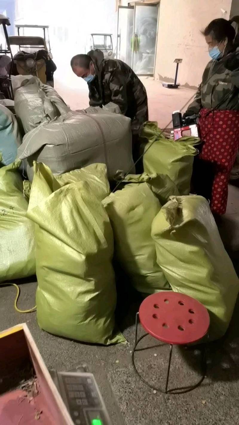 白芍今年新货颜色好看产地采购一手货源常年有大货