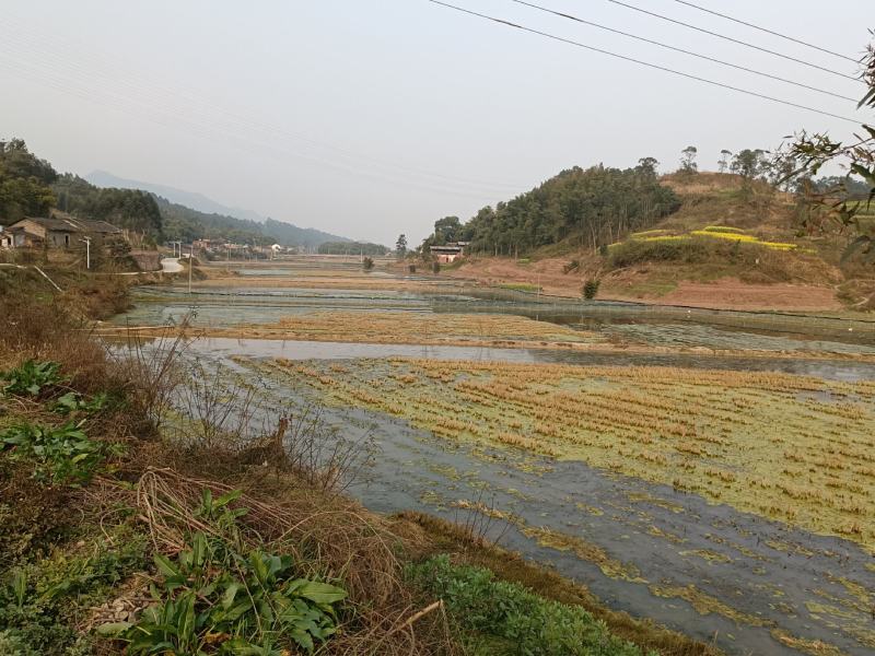 200亩种养结合地流转