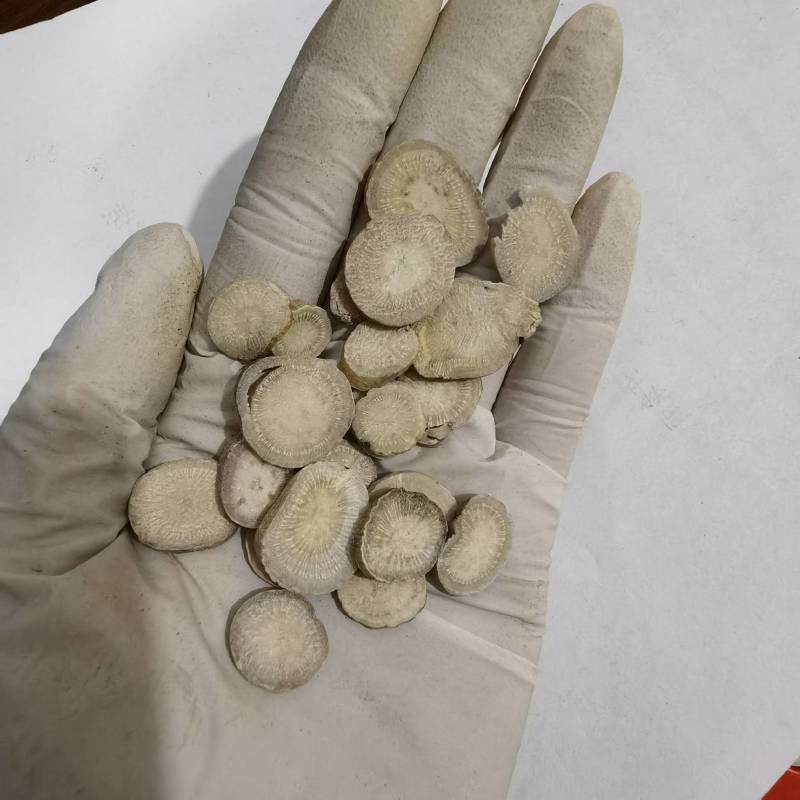 白芍颜色好看大小均匀今年新货实图拍摄量大从优