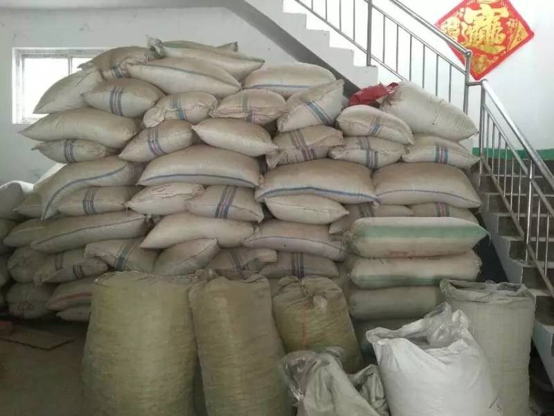 白芍颜色好看大小均匀今年新货实图拍摄量大从优