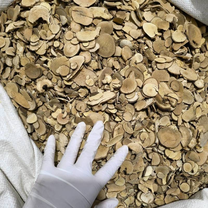 乌药今年新货实图拍摄颜色好看常年有大货欢迎选购