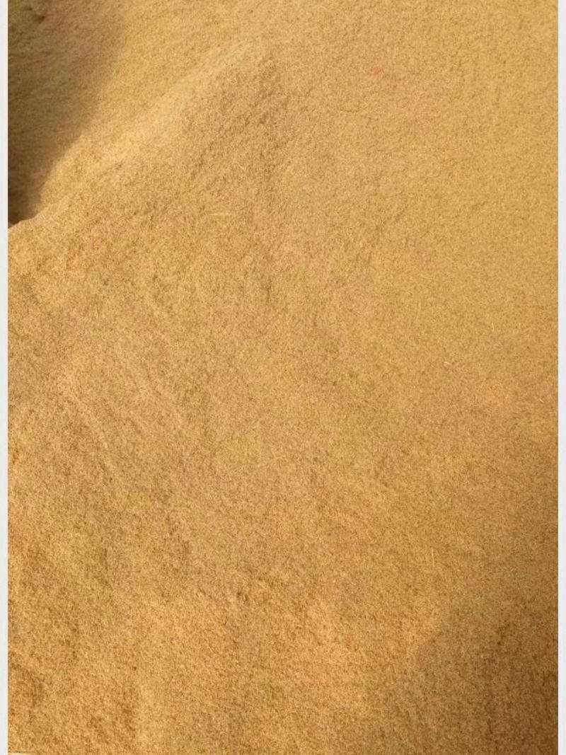 自产自销的龙胆草种子成熟度好，出芽率高，品质优良，产量好