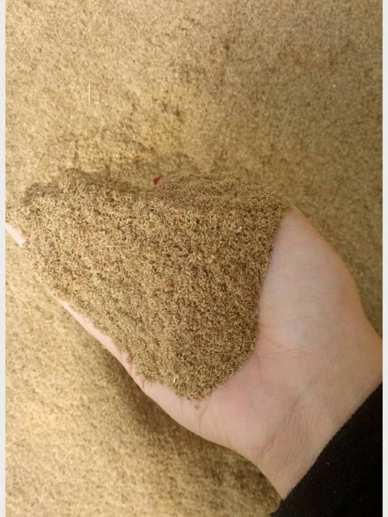 自产自销的龙胆草种子成熟度好，出芽率高，品质优良，产量好