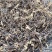 蕨菜干